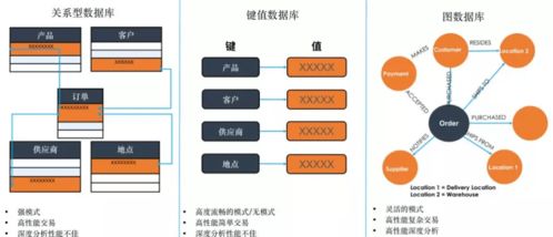 數字化轉型浪潮下，TigerGraph圖技術能否成為數字技術服務新寵兒？