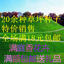 四季常青，滋養(yǎng)牧業(yè)——探索最新四季牧草產(chǎn)品與花卉禮品的雙重魅力