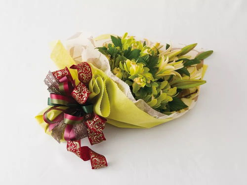 《愛上禮品鮮花 包裝秘笈與銷售之道》——開啟趣味園藝的商業(yè)芬芳之旅